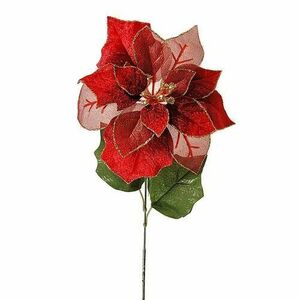 Róża bożonarodzeniowa czerwony, 55 cm obraz