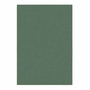 Zielony dywan 120x170 cm – Flair Rugs obraz