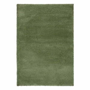 Zielony dywan 160x230 cm – Flair Rugs obraz