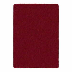 Czerwony dywan 120x170 cm – Flair Rugs obraz
