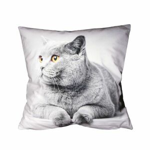 Poszewka na poduszkę Kot, 40 x 40 cm obraz