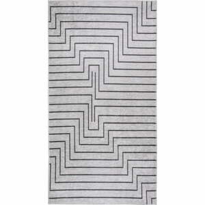 Jasnoszary dywan odpowiedni do prania 160x230 cm – Vitaus obraz