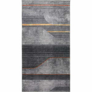 Szary dywan odpowiedni do prania 80x150 cm – Vitaus obraz