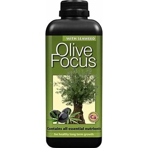 Growth Technology Olive Focus nawóz dla drzewa oliwnego oliwek 1L obraz