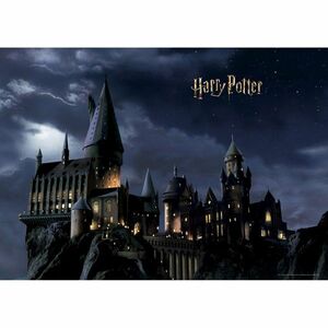 Fototapeta dziecięca Harry Potter 252 x 182 cm, 4 części obraz