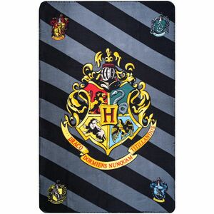 Koc Harry Potter, 100 x 150 cm obraz