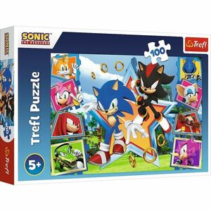 Trefl Puzzle Sonic Poznaj jeża, 100 elem. obraz