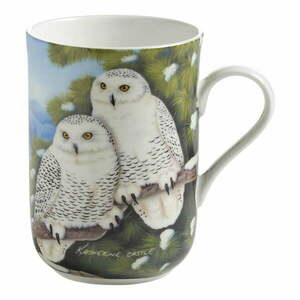 Porcelanowy kubek 330 ml Owls – Maxwell & Williams obraz