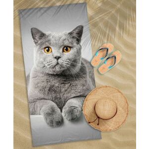 Ręcznik plażowy, Szary kotek, 70 x 140 cm obraz