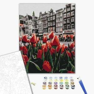 Malowanie po numerach tulipany w Amsterdamie obraz