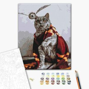 Malowanie po numerach kot ze świata czarodziejów obraz
