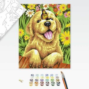 Malowanie po numerach zabawny pies z motylem obraz