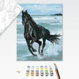 Malowanie po numerach czarny koń na plaży obraz