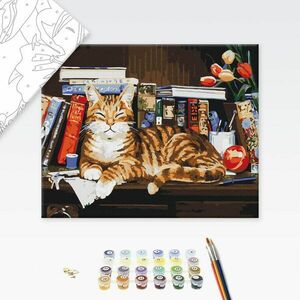 Malowanie po numerach kot mól książkowy obraz