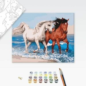 Malowanie po numerach galopujące konie na wybrzeżu obraz