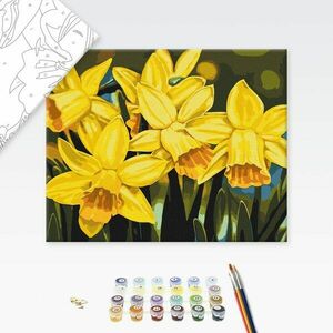 Malowanie po numerach kwiaty żonkili obraz