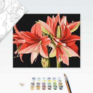 Malowanie po numerach kwiaty amarylisu obraz