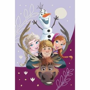 Jerry Fabrics Koc dziecięcy Frozen Family 03, 100 x 150 cm obraz
