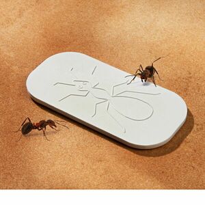 Płytka do odstraszania mrówek obraz