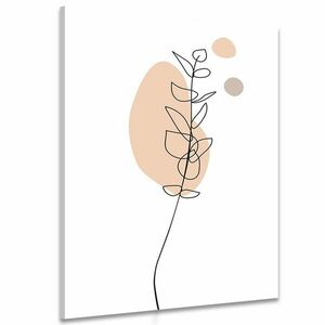 Obraz minimalistycznego liścia na białym tle No3 obraz