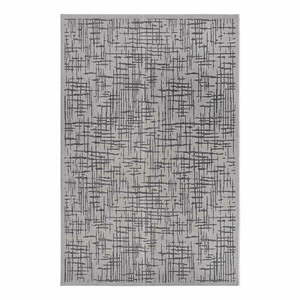 Szary dywan odpowiedni na zewnątrz 76x150 cm Clyde Telu – Hanse Home obraz