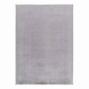 Szary dywan z mikrowłókna 80x150 cm Coraline Liso – Universal obraz