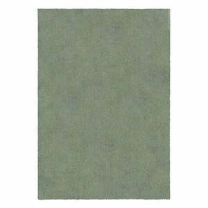 Zielony dywan 200x290 cm – Flair Rugs obraz