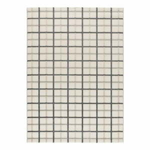 Szaro-kremowy dywan 160x230 cm Karisma – Universal obraz