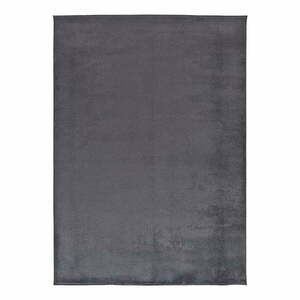 Ciemnoszary dywan z mikrowłókna 120x170 cm Coraline Liso – Universal obraz