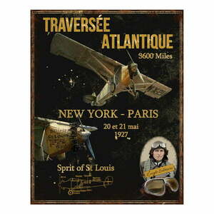 Metalowa tabliczka 28x36 cm Avion St Louis – Antic Line obraz