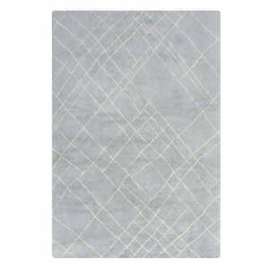 Jasnoszary dywan odpowiedni do prania 120x170 cm Alisha – Flair Rugs obraz