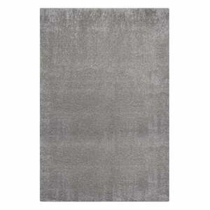 Szary dywan z włókien z recyklingu 80x150 cm Velvet – Flair Rugs obraz