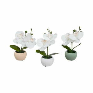 Sztuczne rośliny zestaw 3 szt. (wysokość 15 cm) Orchid – Casa Selección obraz