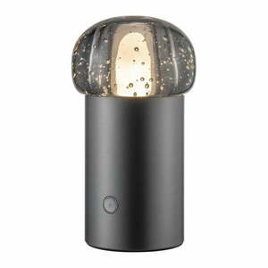 Lampa zewnętrzna LED na USB ze ściemniaczem ø 10 cm Iris – Blomus obraz