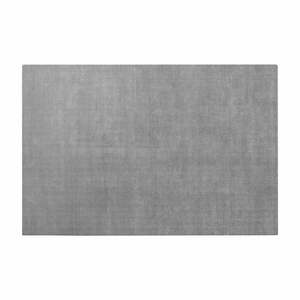 Szary dywan z wiskozy 160x240 cm Visca – Blomus obraz