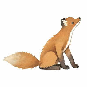 Naklejka dziecięca 43, 5x45 cm Vintage Fox – Lilipinso obraz