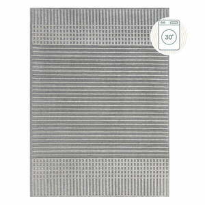 Szary dywan z szenilu odpowiedni do prania 80x160 cm Elton – Flair Rugs obraz