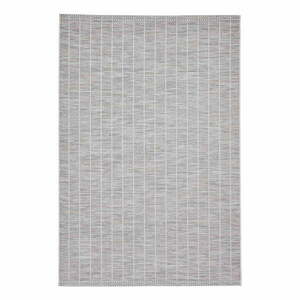 Jasnoszary dywan odpowiedni na zewnątrz 120x170 cm Santa Monica – Think Rugs obraz