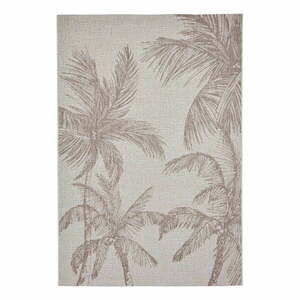 Beżowy dywan odpowiedni na zewnątrz 120x170 cm Miami – Think Rugs obraz