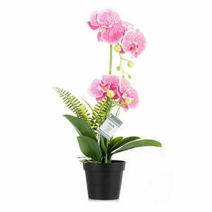 Sztuczny kwiat (wysokość 55 cm) Orchid – AmeliaHome obraz