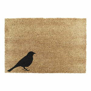 Wycieraczka z włókna kokosowego 40x60 cm Bird – Artsy Doormats obraz