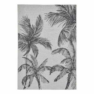 Czarno-kremowy dywan odpowiedni na zewnątrz 120x170 cm Miami – Think Rugs obraz