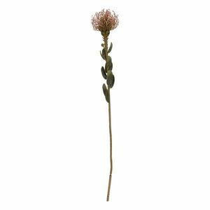 Sztuczny kwiat (wysokość 60 cm) Protea – PT LIVING obraz