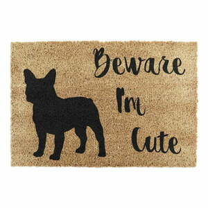Wycieraczka z włókna kokosowego 40x60 cm Beware I'm Cute French Bulldog – Artsy Doormats obraz