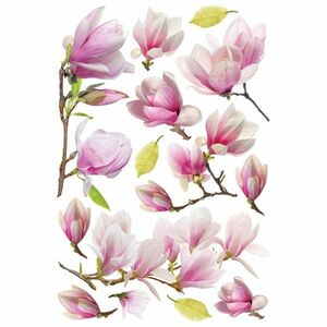Dekoracja samoprzylepna Magnolia Flowers, 42, 5 x 65 cm obraz