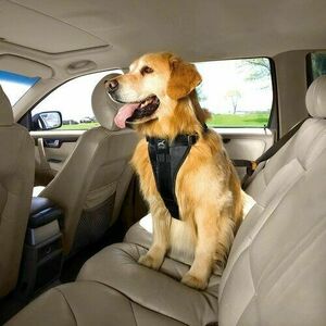 Kurgo Szelki bezpieczeństwa dla psów z pasemsamochodowym, czarny, XL obraz