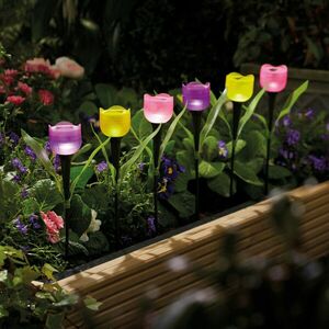 6 słonecznych tulipanów obraz