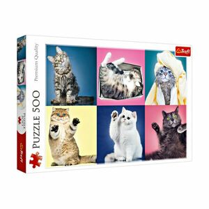 Puzzle 500 elementów Koty obraz