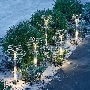 5 sadzonek ogrodowych "Snowflake" Gainsborough obraz