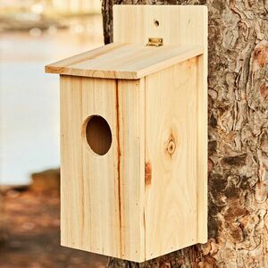 Drewniany domek dla ptaków obraz